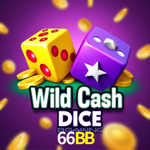 Experiência VIP 66BB